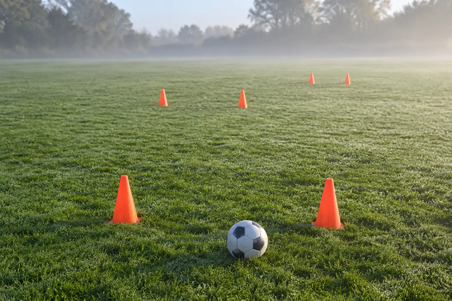 Illustration: Passing gates laid out on a misty football practice field.